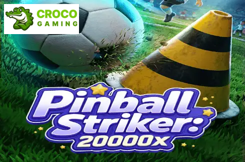 Pinball Striker 20000x